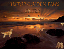 Tablet Screenshot of hilltopgoldenpawskennel.com